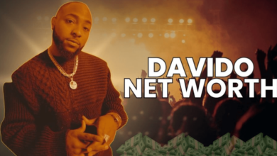David Schwimmer Net Worth