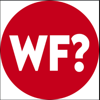The Why Files YouTube Earnings